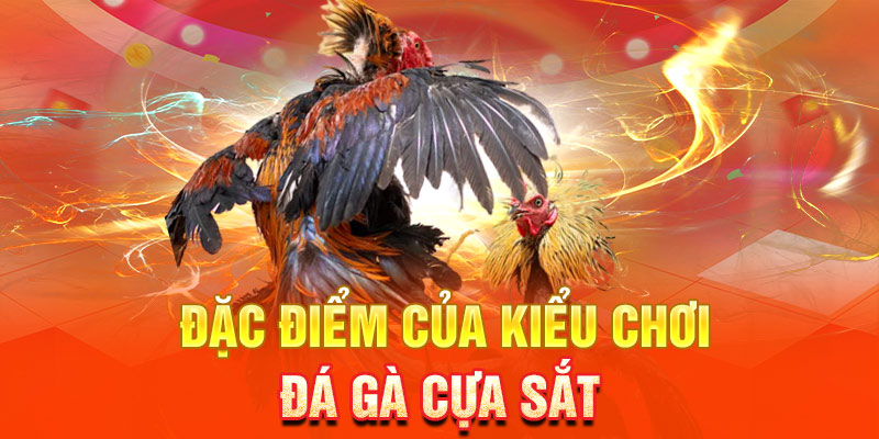 da-ga-cua-sat-dac-diem